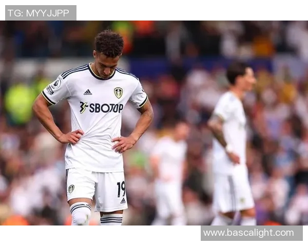 国家队球星风采：足球世界中的璀璨明星与荣耀时刻