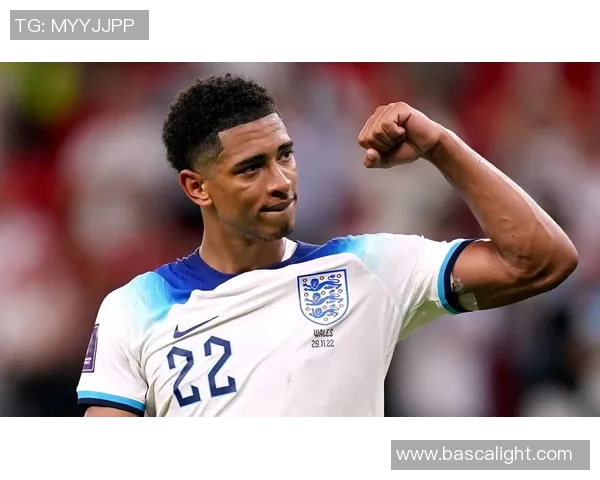 法国球星视角下对世界足球运动员的精彩评价与独到见解